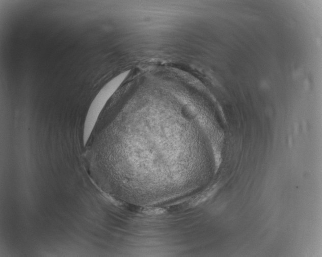 X0000073980576200609181719