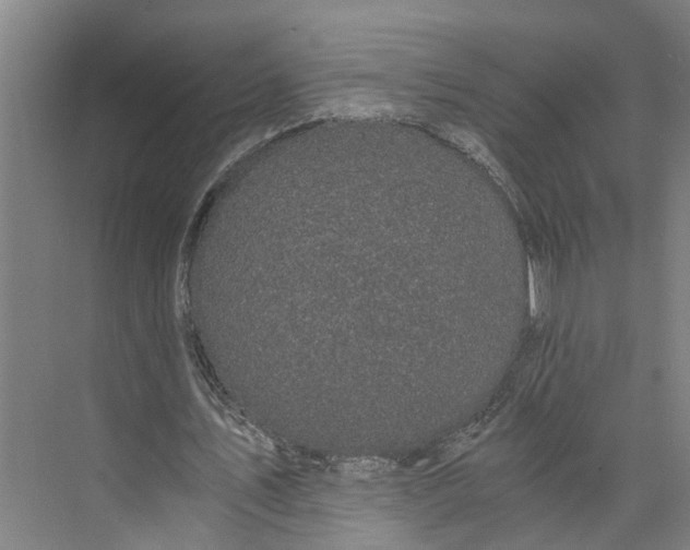 X0000073980579200609181719