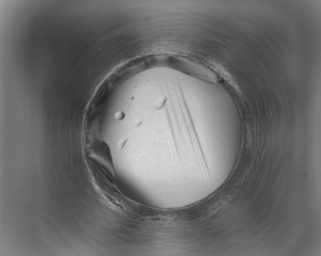 X0000073980580200609181719