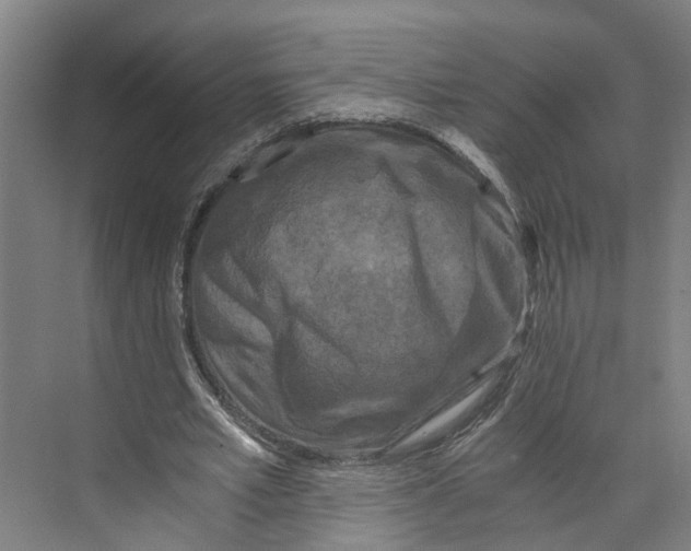 X0000073980581200609181719