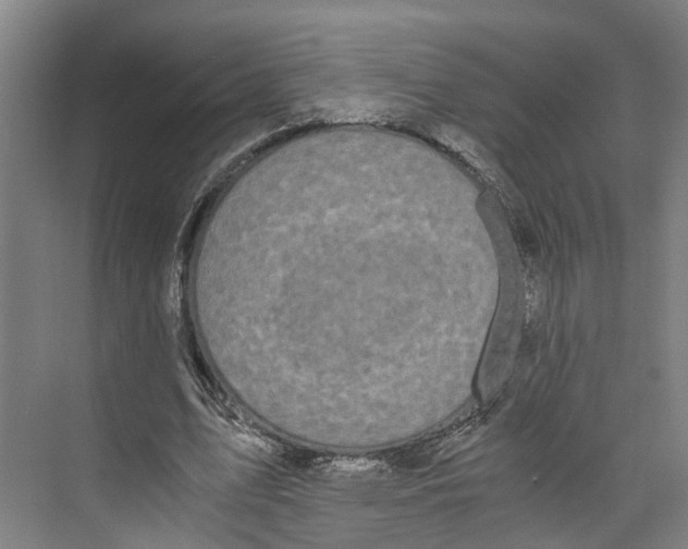 X0000073980583200609181719