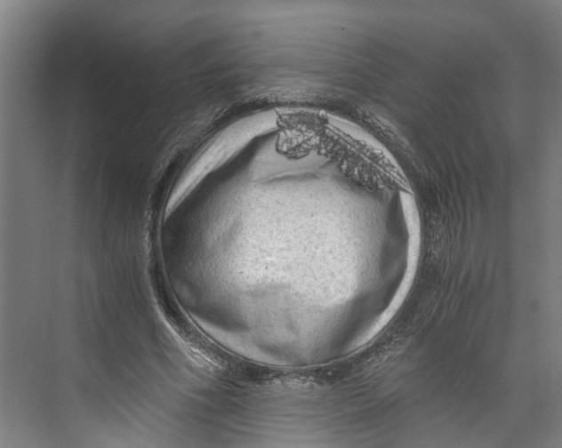 X0000073980586200609181718