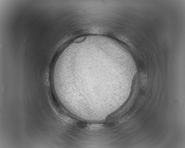 X0000073980587200609181718