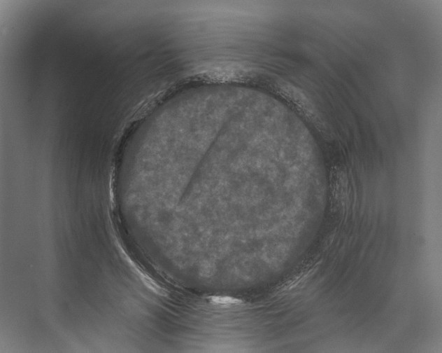 X0000073980590200609181718