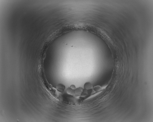 X0000073980593200609181718