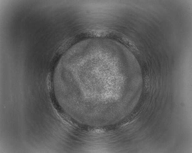 X0000073980594200609181718