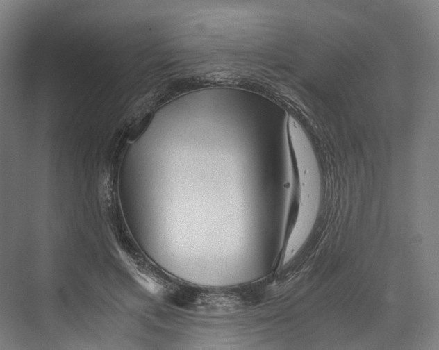 X0000073980597200609181718