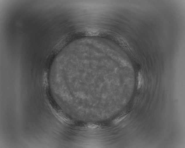 X0000073980598200609181718