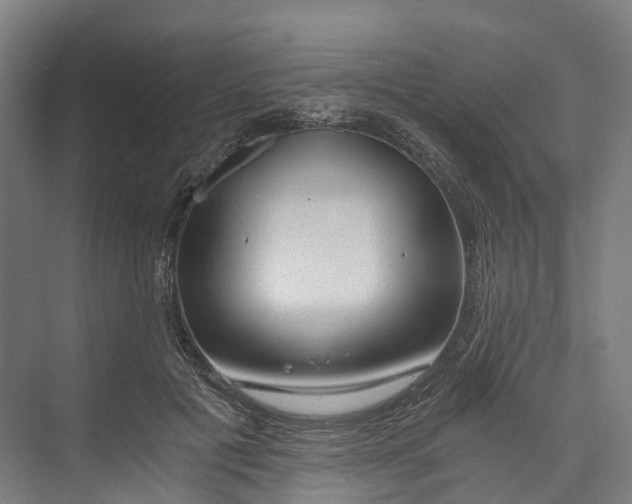 X0000073980601200609181718