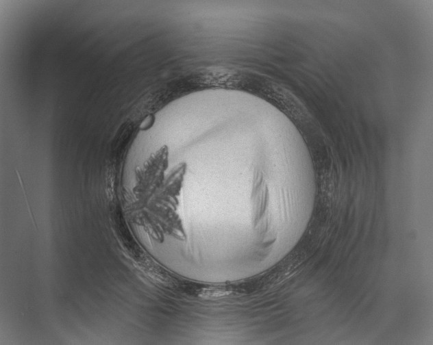 X0000073980602200609181718