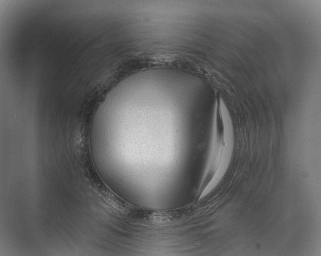 X0000073980608200609181718