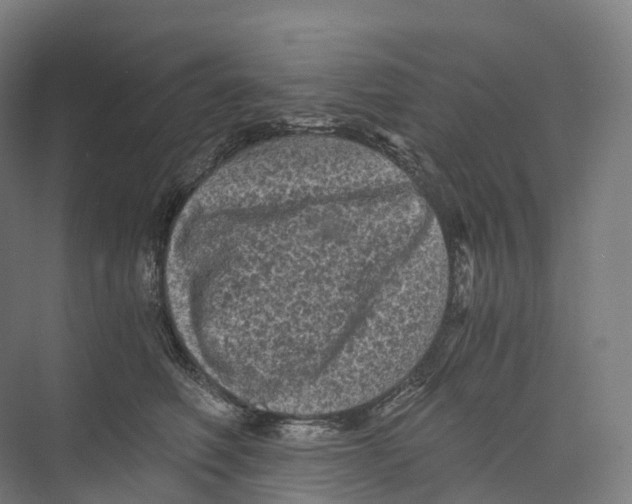 X0000073980614200609181718