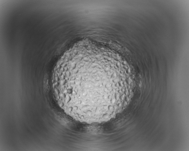 X0000073980615200609181718