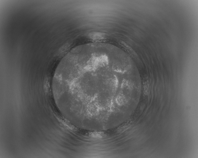 X0000073980618200609181718