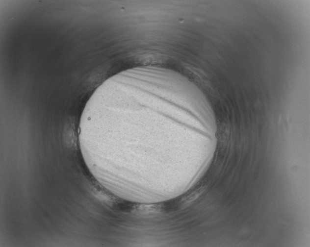 X0000073980622200609181718