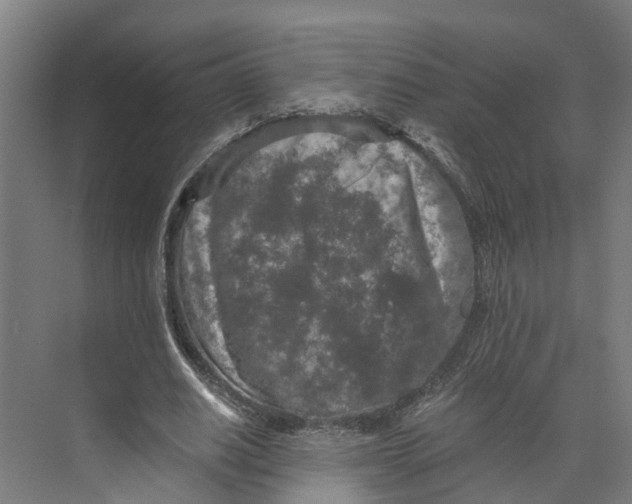 X0000073980630200609181717