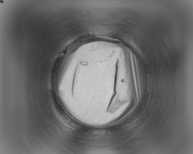 X0000073980631200609181717