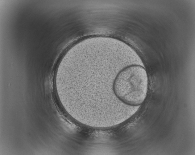 X0000073980632200609181717