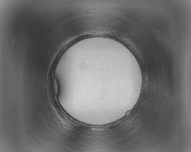 X0000073980636200609181717