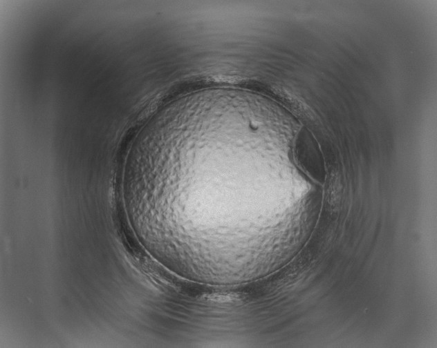 X0000073980639200609181717