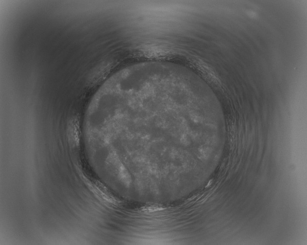 X0000073980644200609181717