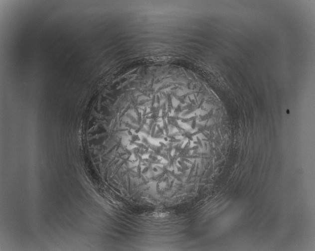 X0000073980647200609181717