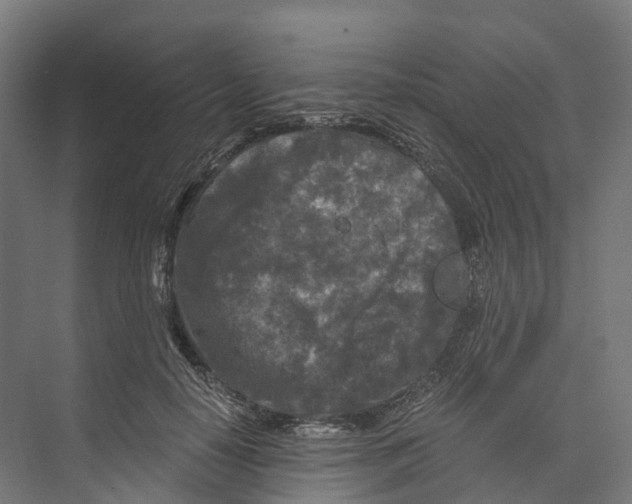 X0000073980650200609181717