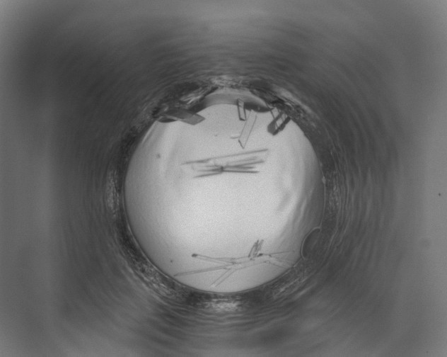 X0000073980651200609181717