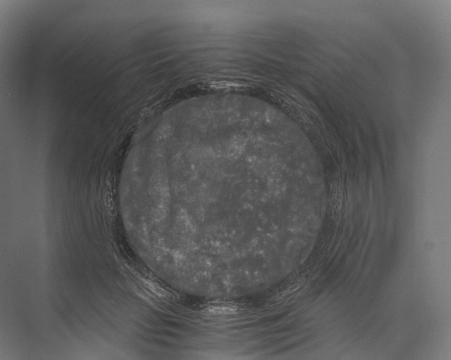 X0000073980653200609181718