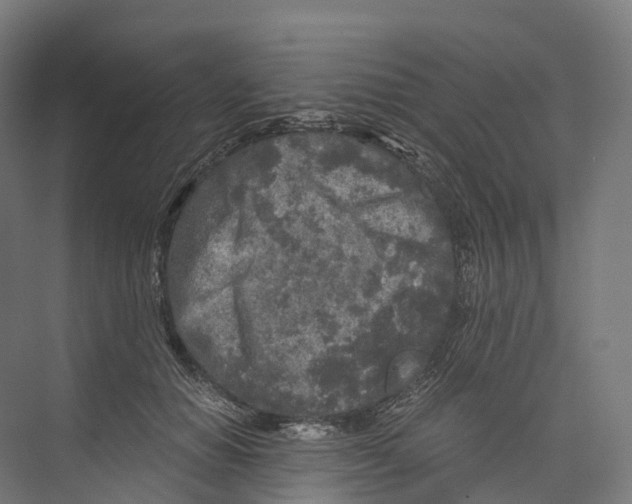 X0000073980654200609181718