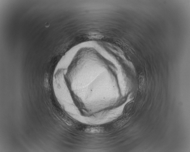 X0000073980655200609181718