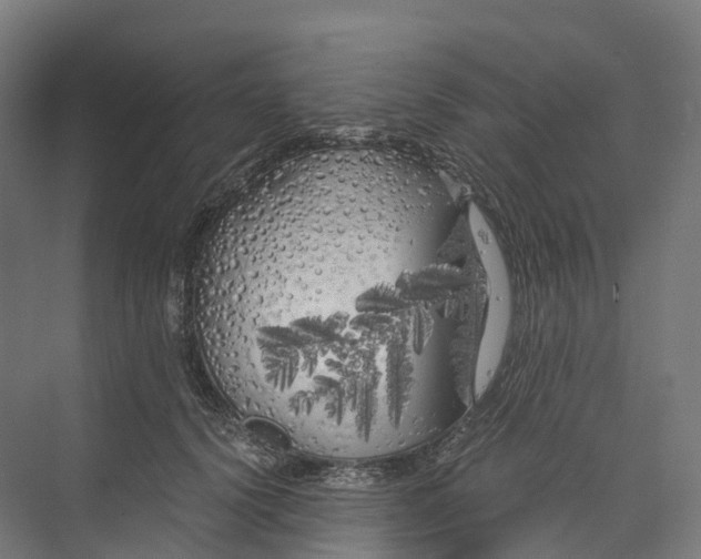 X0000073980656200609181718