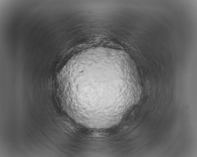 X0000073980657200609181718