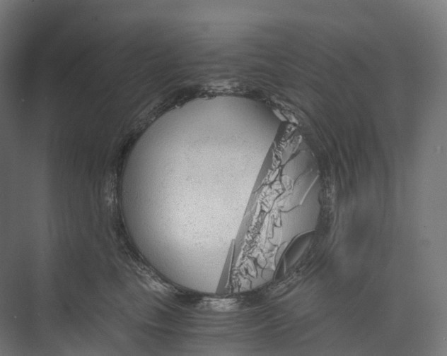 X0000073980665200609181718