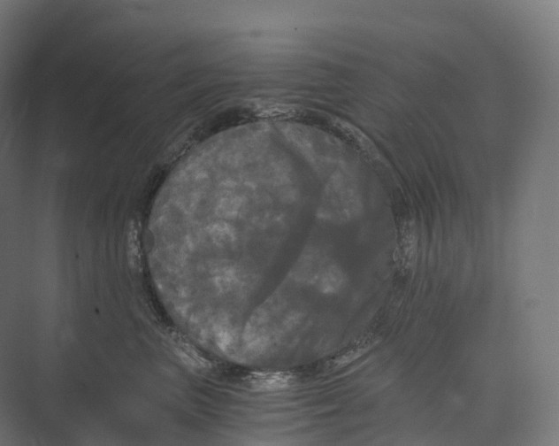 X0000073980667200609181718