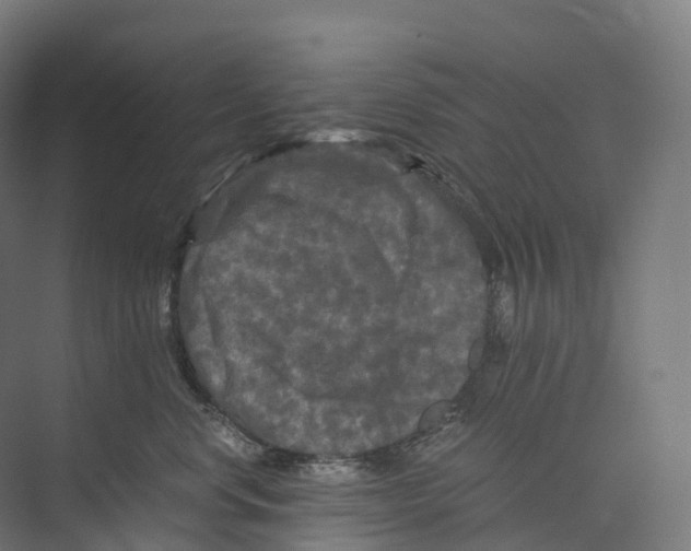 X0000073980668200609181718