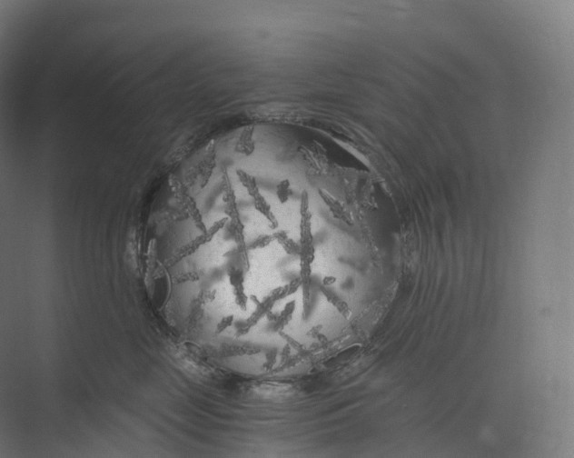 X0000073980669200609181718