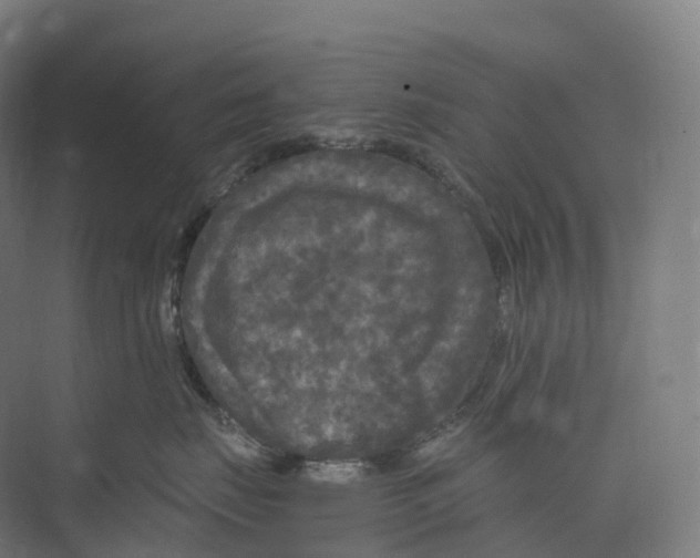 X0000073980671200609181718