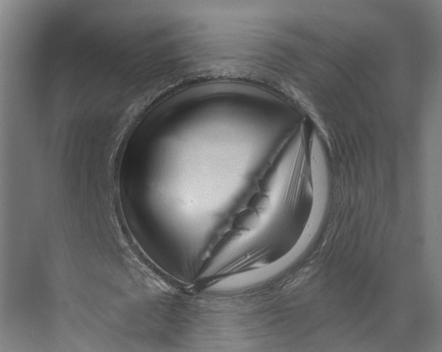 X0000073980673200609181717