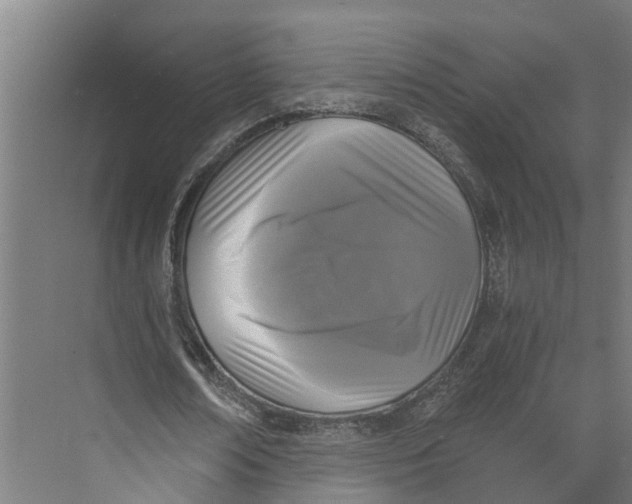 X0000073980674200609181717