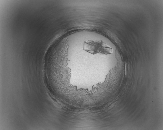 X0000073980675200609181717