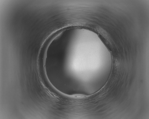 X0000073980676200609181717