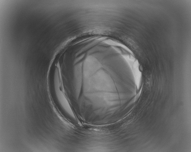 X0000073980678200609181717