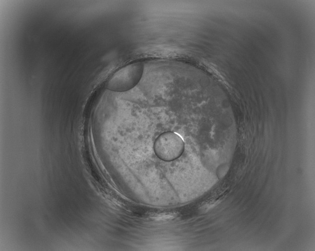 X0000073980679200609181717