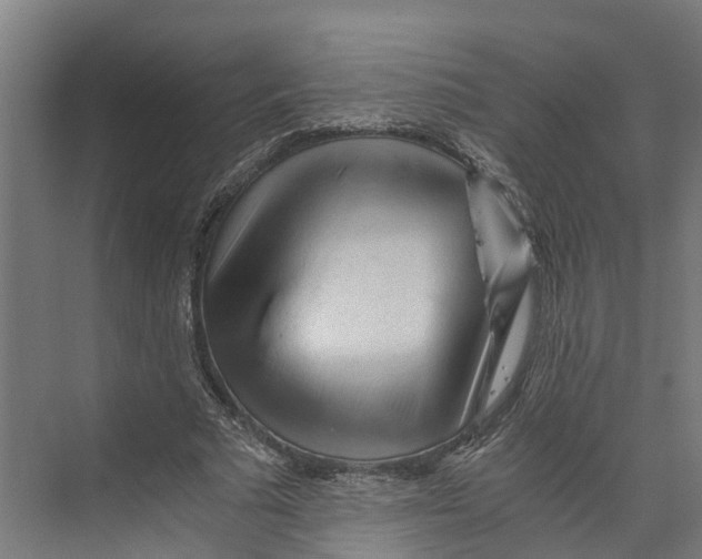 X0000073980681200609181717