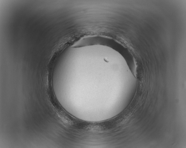 X0000073980685200609181717