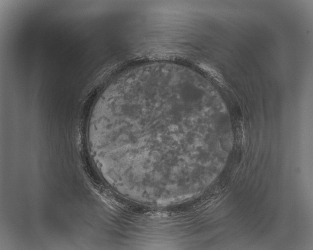 X0000073980687200609181717