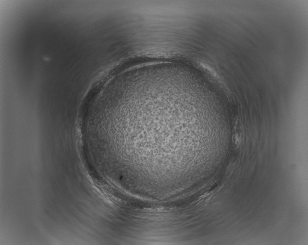 X0000073980688200609181717