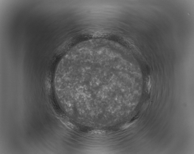 X0000073980691200609181717