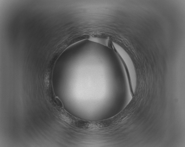 X0000073980697200609181717